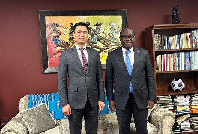 Vietnam, Ghana to forge multi-faceted cooperation ảnh 1