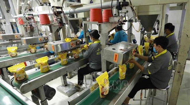 Vietnam aims to promote agricultural exports to Africa ảnh 1 Vietnam aims to promote agricultural exports to Africa ảnh 1