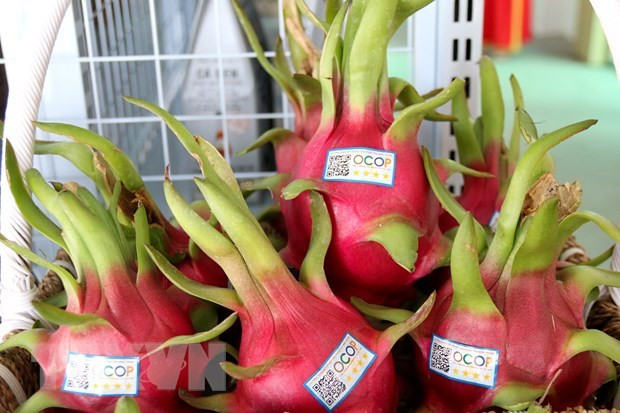 Vietnam's farm produce, processed food introduced in India ảnh 1