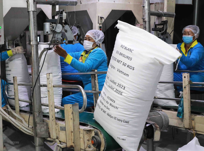 Vietnam’s export rice price reaches new peak ảnh 1