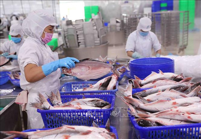 Export regains growth pace ảnh 2 Export regains growth pace ảnh 2