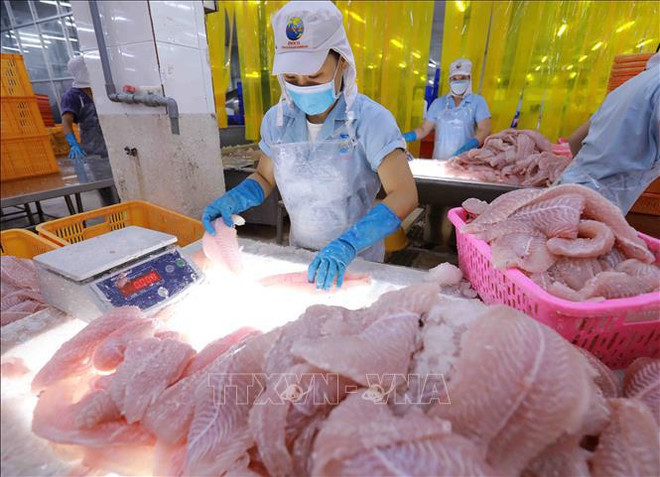 Aquatic exports expected to reach 10 billion USD ảnh 2 Aquatic exports expected to reach 10 billion USD ảnh 2