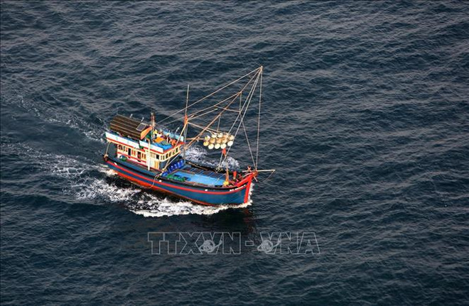 PM urges utmost efforts to have EC's "yellow card" against seafood removed ảnh 1
