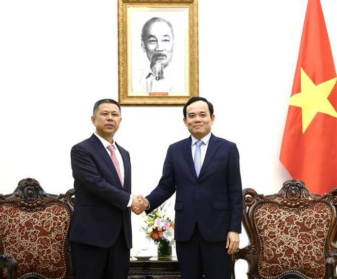 Deputy PM hails Chinese solar panel maker's investment expansion plan ảnh 1 Deputy PM hails Chinese solar panel maker's investment expansion plan ảnh 1