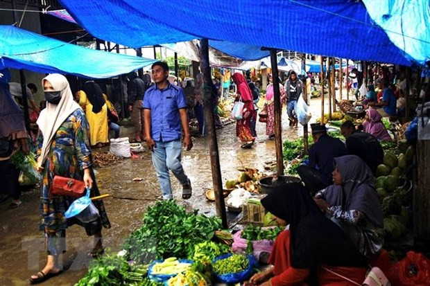 Geopolitical instability poses risks to Indonesia’s economy: minister ảnh 1