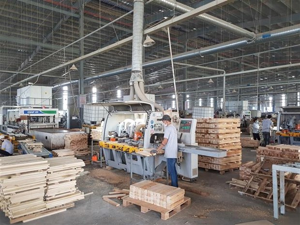 Binh Duong’s domestic investment surpasses FDI for first time ảnh 1