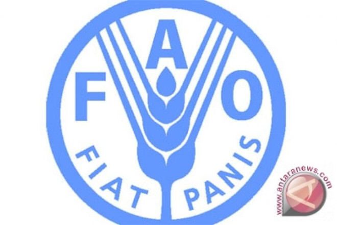 Indonesia, FAO renew cooperation in timber trade ảnh 1