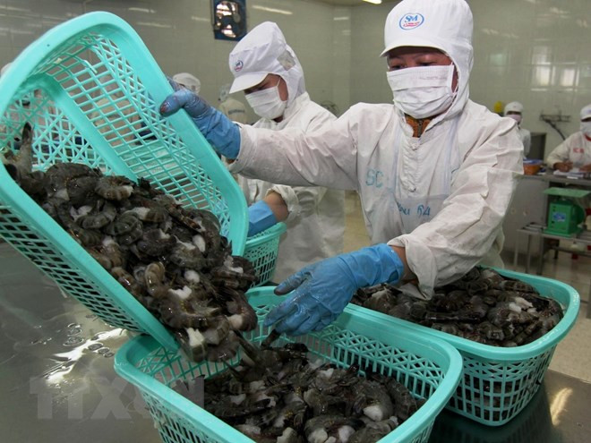 Vietnam dominates Canada’s shrimp market ảnh 1