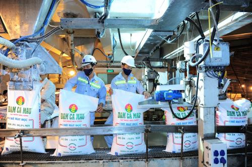 PVCFC’s output hits 5 mln tonnes of urea after 7 years of operation ảnh 1 PVCFC’s output hits 5 mln tonnes of urea after 7 years of operation ảnh 1