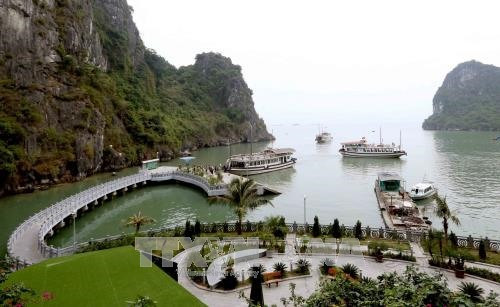 Quang Ninh province scraps chemical factory plan ảnh 1