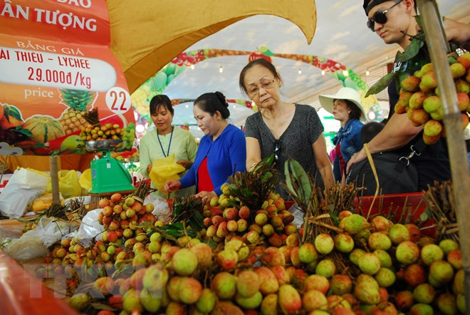 Southern fruit festival to take place in June ảnh 1