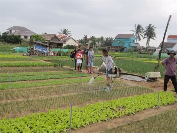 Positive policy making needed for agri-tourism booming ảnh 1