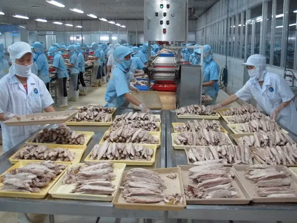  Vietnamese exports to Africa face price challenges ảnh 1