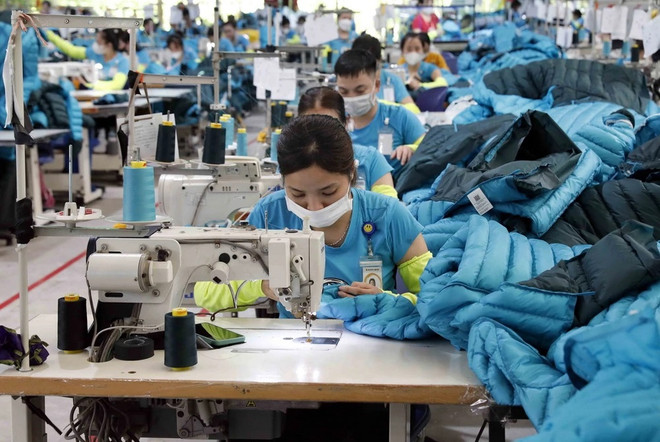 Garment sector eyes 44 billion USD in export this year ảnh 1