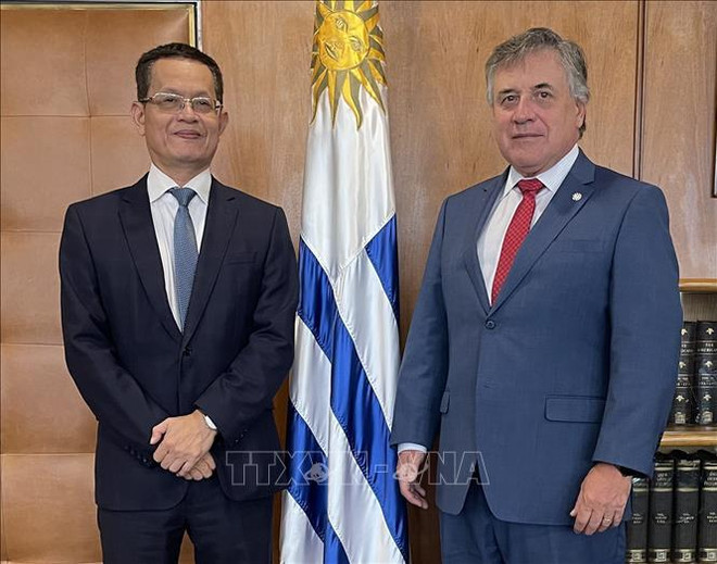 Plenty of room for Vietnam, Uruguay to boost cooperation: Uruguayan FM ảnh 1 Plenty of room for Vietnam, Uruguay to boost cooperation: Uruguayan FM ảnh 1