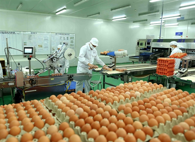 Vietnam has potential to promote livestock product exports to China ảnh 1 Vietnam has potential to promote livestock product exports to China ảnh 1