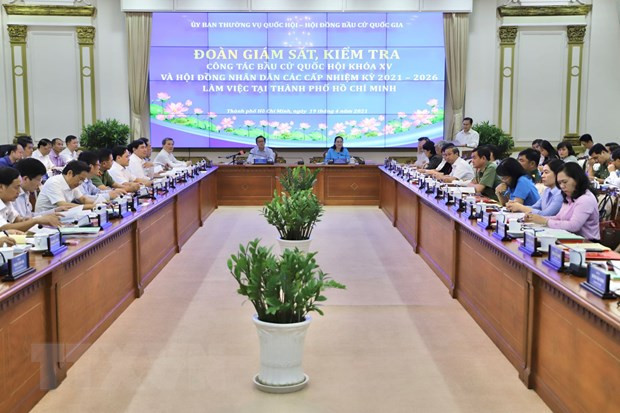 Ho Chi Minh City’s preparations for elections examined ảnh 1
