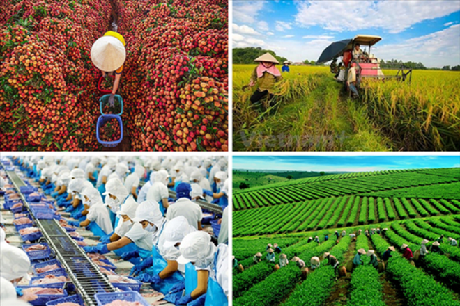 Agricultural sector targets attracting 25 billion USD in FDI by 2030 ảnh 2