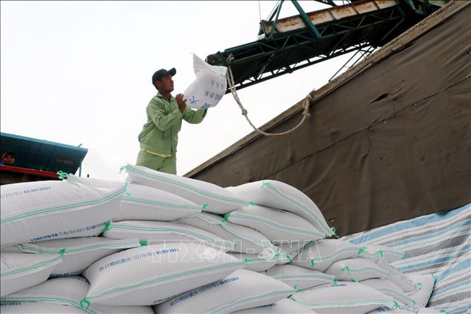 Vietnam’s rice exports predicted to drop in 2023 ảnh 1