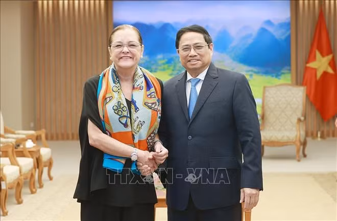 Vietnam attaches importance to multifaceted cooperation with El Salvador: PM ảnh 1
