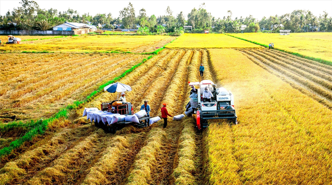 Agricultural sector targets attracting 25 billion USD in FDI by 2030 ảnh 1