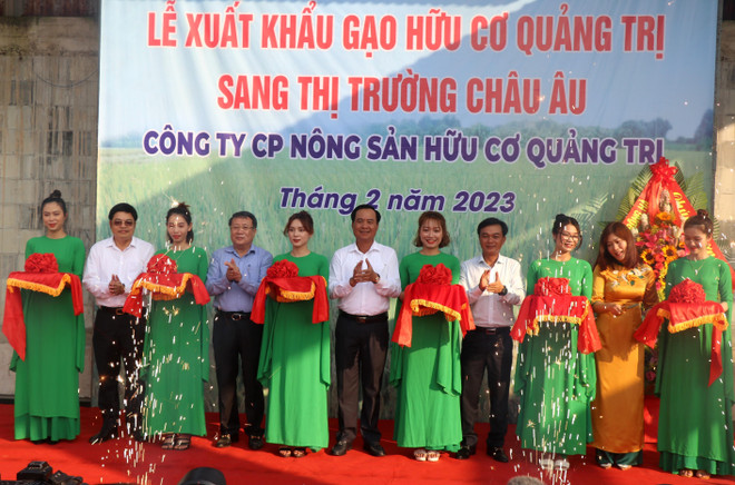First batch of Quang Tri organic rice exported to EU ảnh 1 First batch of Quang Tri organic rice exported to EU ảnh 1