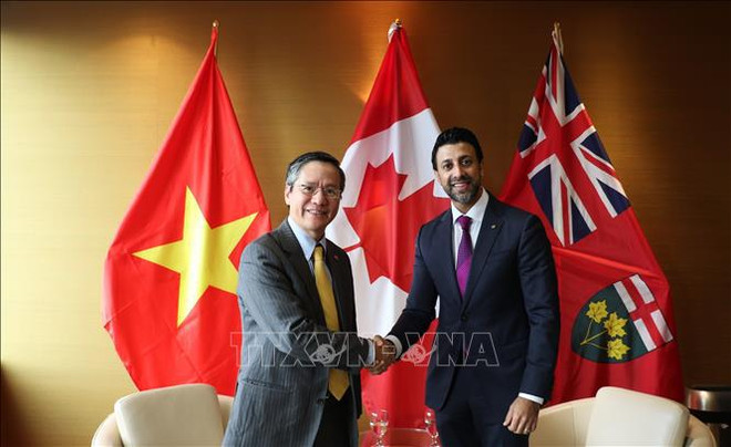 Vietnam holds important position in Canada’s Indo-Pacific Strategy: official ảnh 1