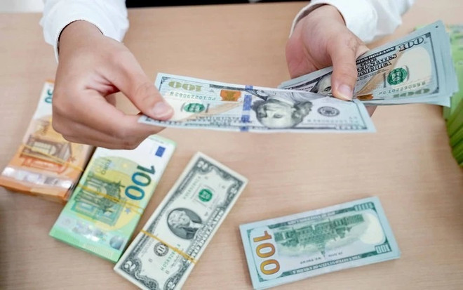 Nine-month overseas remittances to HCM City up 40% year on year ảnh 1 Nine-month overseas remittances to HCM City up 40% year on year ảnh 1