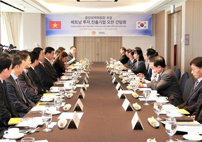 Long An, RoK enterprises seek cooperation opportunities ảnh 1