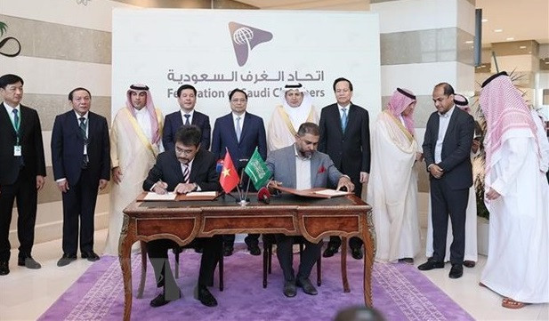 Vietnam, Saudi Arabia sign action programme to boost tourism cooperation ảnh 1