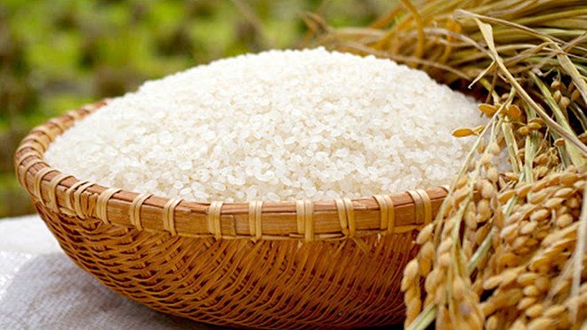Price of Vietnam’s exported rice maintains uptrend ảnh 1 Price of Vietnam’s exported rice maintains uptrend ảnh 1