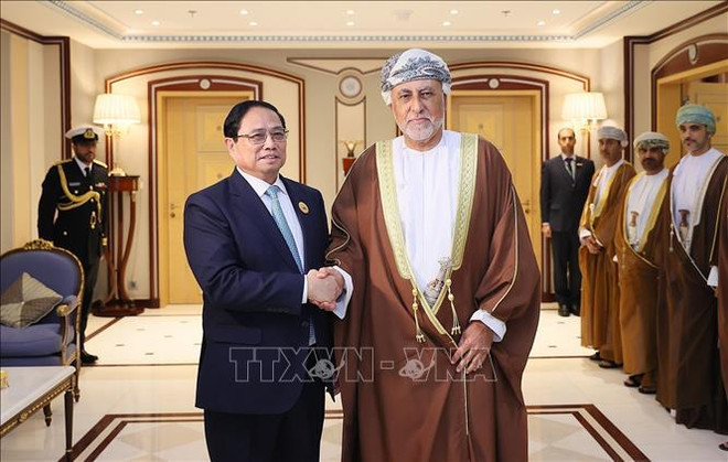 PM meets with leaders of Gulf countries ảnh 3 PM meets with leaders of Gulf countries ảnh 3