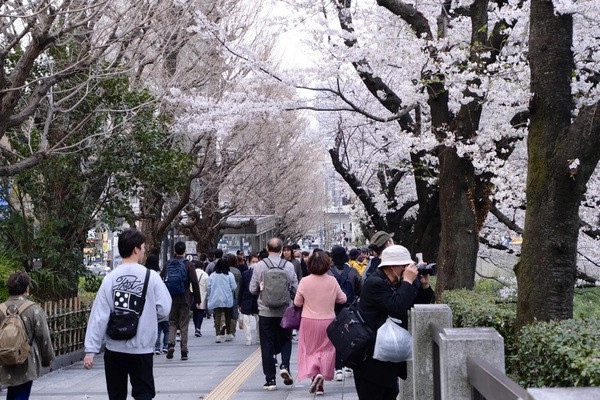 Vietnam, Japan cooperate in seeking solutions to tourist overload ảnh 2 Vietnam, Japan cooperate in seeking solutions to tourist overload ảnh 2