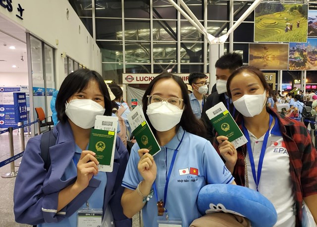 Gender issues, social welfare highlighted in migration studies to better support migrants ảnh 1 Gender issues, social welfare highlighted in migration studies to better support migrants ảnh 1