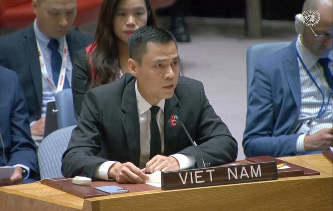 Vietnam continues call for ceasefire in Gaza Strip ảnh 1 Vietnam continues call for ceasefire in Gaza Strip ảnh 1