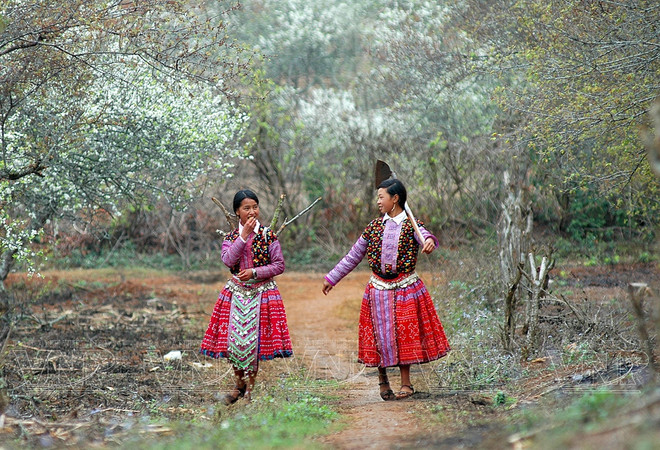 Northern localities team up to attract more tourists ảnh 2 Northern localities team up to attract more tourists ảnh 2