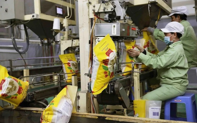 Big opportunities for rice exports in 2024 ảnh 1