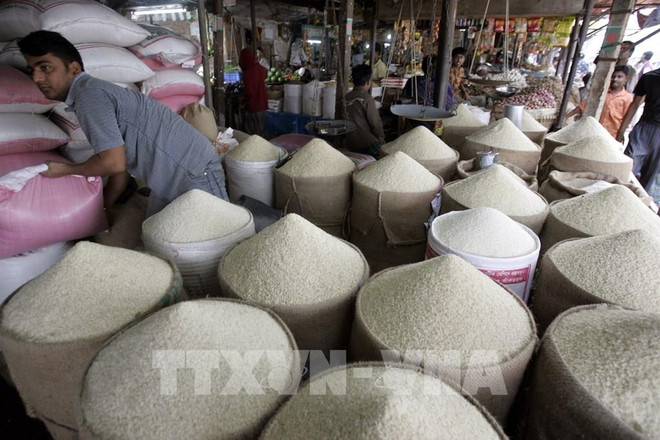 Indonesia plans to establish emergency fund to ensure food security ảnh 1