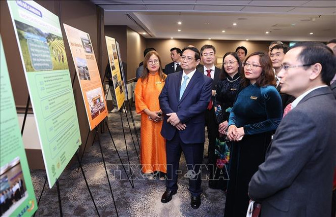 PM works with Vietnamese scholars and experts in Australia ảnh 1