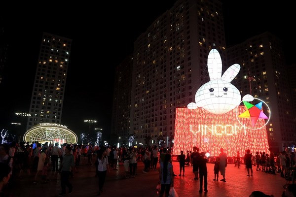 Bunny lantern sets Vietnamese record ảnh 1