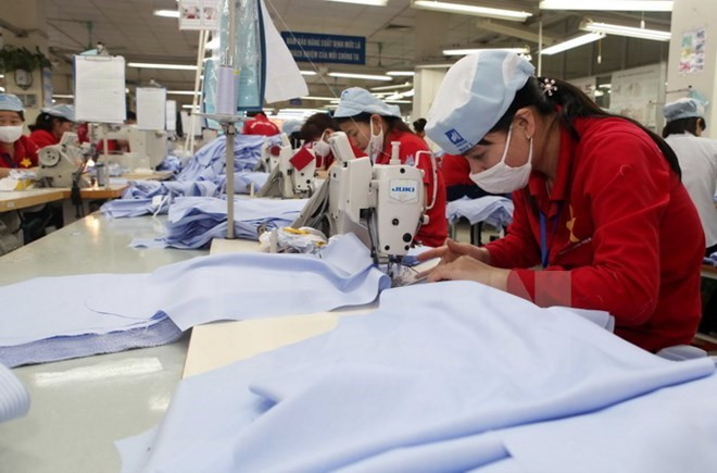 Workshop facilitates local firms’ access to EAEU market ảnh 1