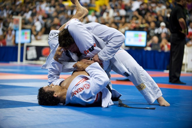 Vietnam clinches eight gold medals at Ju-Jitsu beach championship ảnh 1