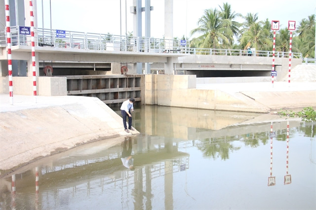 Mekong Delta begins work to keep saltwater at bay during dry season ảnh 1