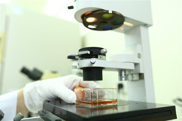 Vietnam, Germany cooperate in preventing future pandemics ảnh 1