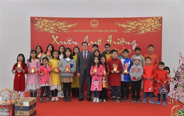 Tet gatherings held abroad by Vietnamese embassies ảnh 2