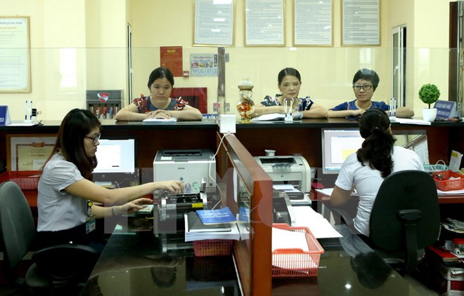 HCM City’s budget collection exceeds target ảnh 1