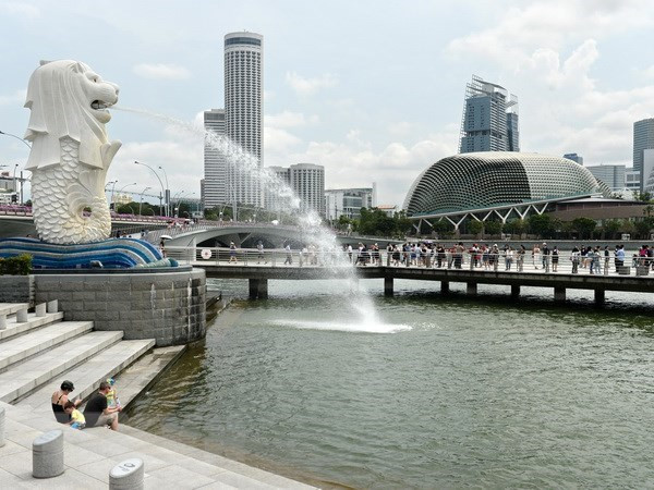 Singapore seeks digital trade agreements ảnh 1 Singapore seeks digital trade agreements ảnh 1