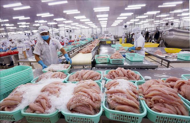 US cuts antidumping duties on Vietnamese tra fish fillets ảnh 1