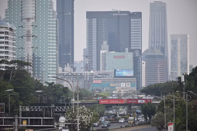 Indonesia: Land burned in forest fires surges in 2019 ảnh 1