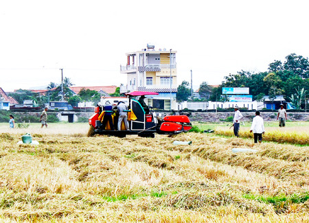 Khanh Hoa develops rural areas ảnh 1